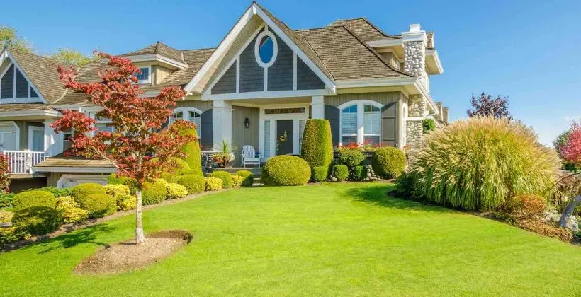 Essential San Diego Lawn Care and Maintenance Guide