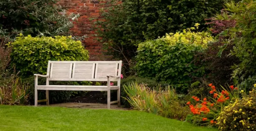 Santa Ana Landscaping: Crafting Your Dream Garden
