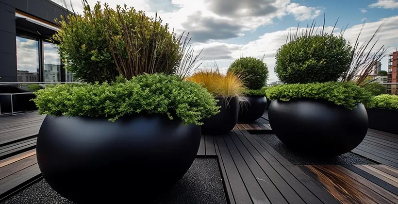Hardscape Remodeling in San Diego: Elevate Your Outdoor Living