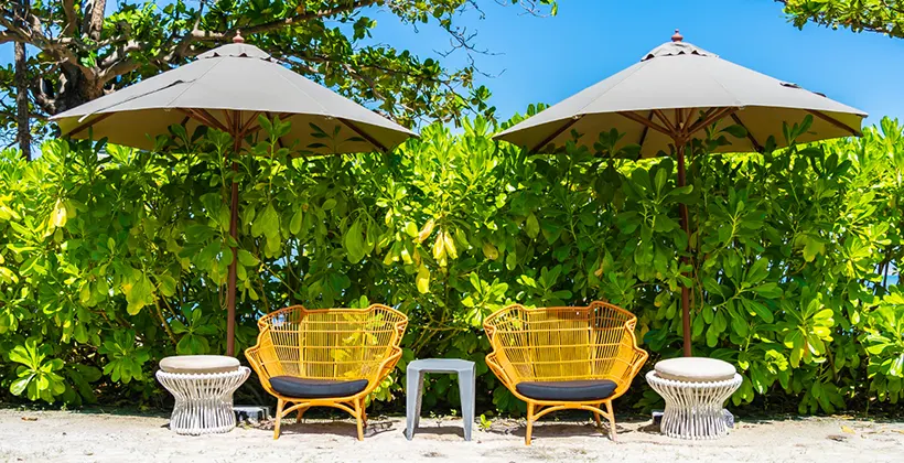 Landscaping in San Diego: Crafting Your Outdoor Sanctuary
